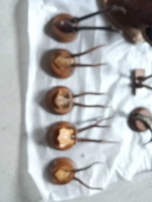 Trofeu căprior cu sculptură – decoruri autentice pe panoplie!