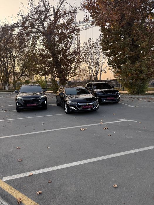 Rentcar — Rentcarhouse — Kunlik ijara — Прокат авто — рент кар