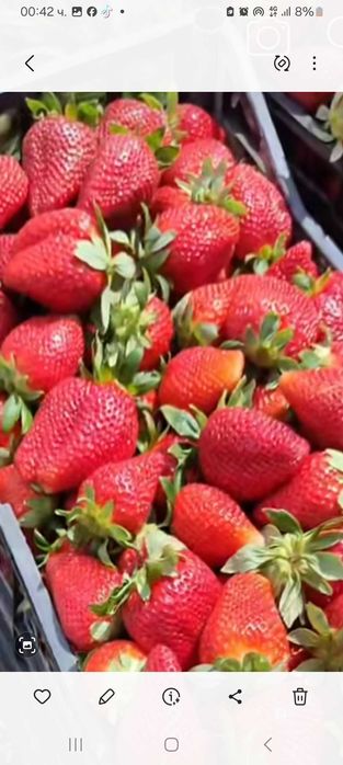 Подавам ягоди и малини.