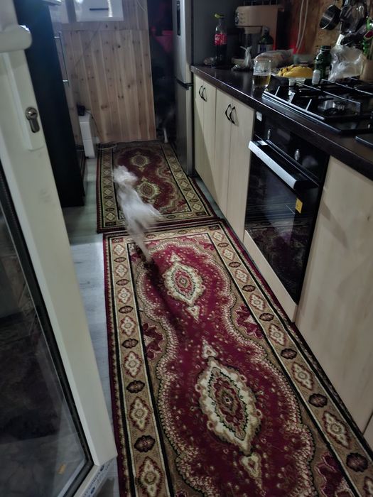 Vând teren Cristian