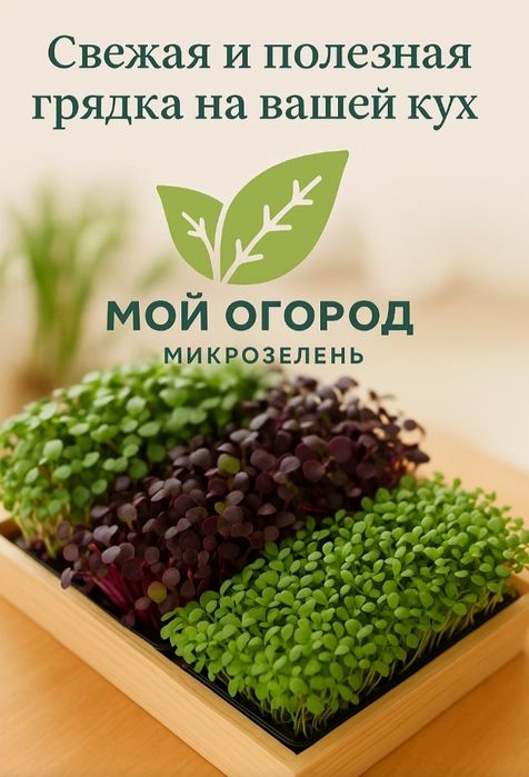 Живая Микрозелень