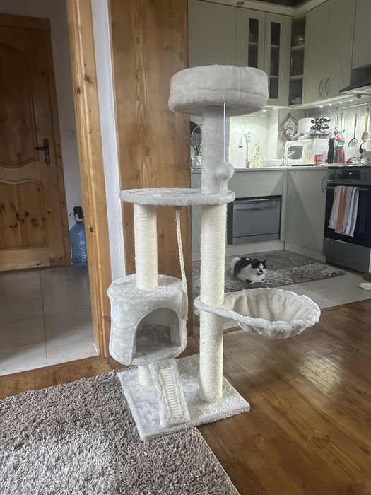 Котешка катерушка