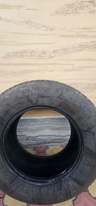 Cauciucuri (anvelope roti )