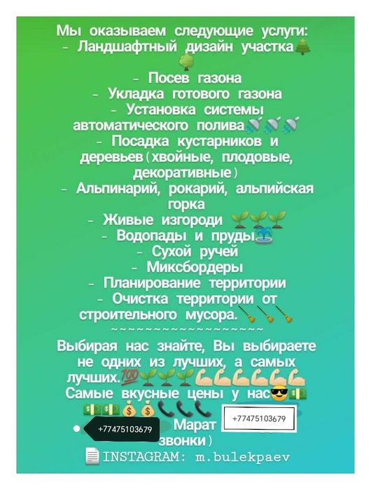 Продажа Посадка пересадка крупномеров хвойные деревья ели сосны