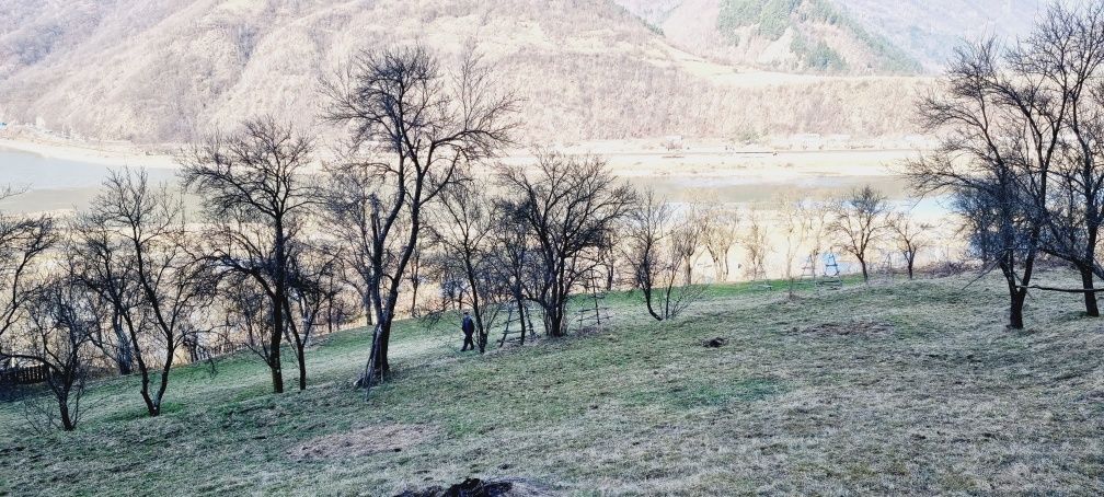 Teren casa /cabana -Sibiu- Valea Oltului - 82oo mp