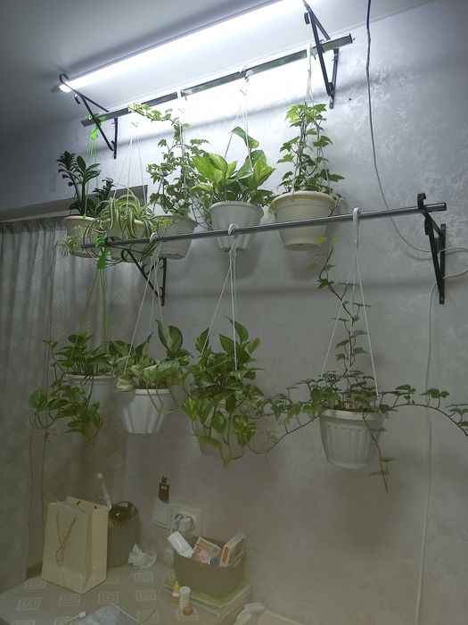 Светильники для растений ,для рассады