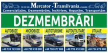 Motor Mercedes Cutie de Viteza Piese Auto Autoturisme Dube Microbuze
