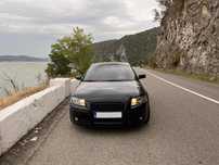 Vand Audi A3 8p Sportback