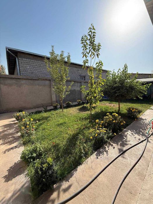 Uch Qaxramon Guliston Maschit yonida 3 sotik yaxwi xovli sotiladi.