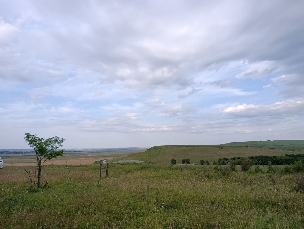 Vând teren intravilan în sat Iepureni, com. Movileni, jud. Iași