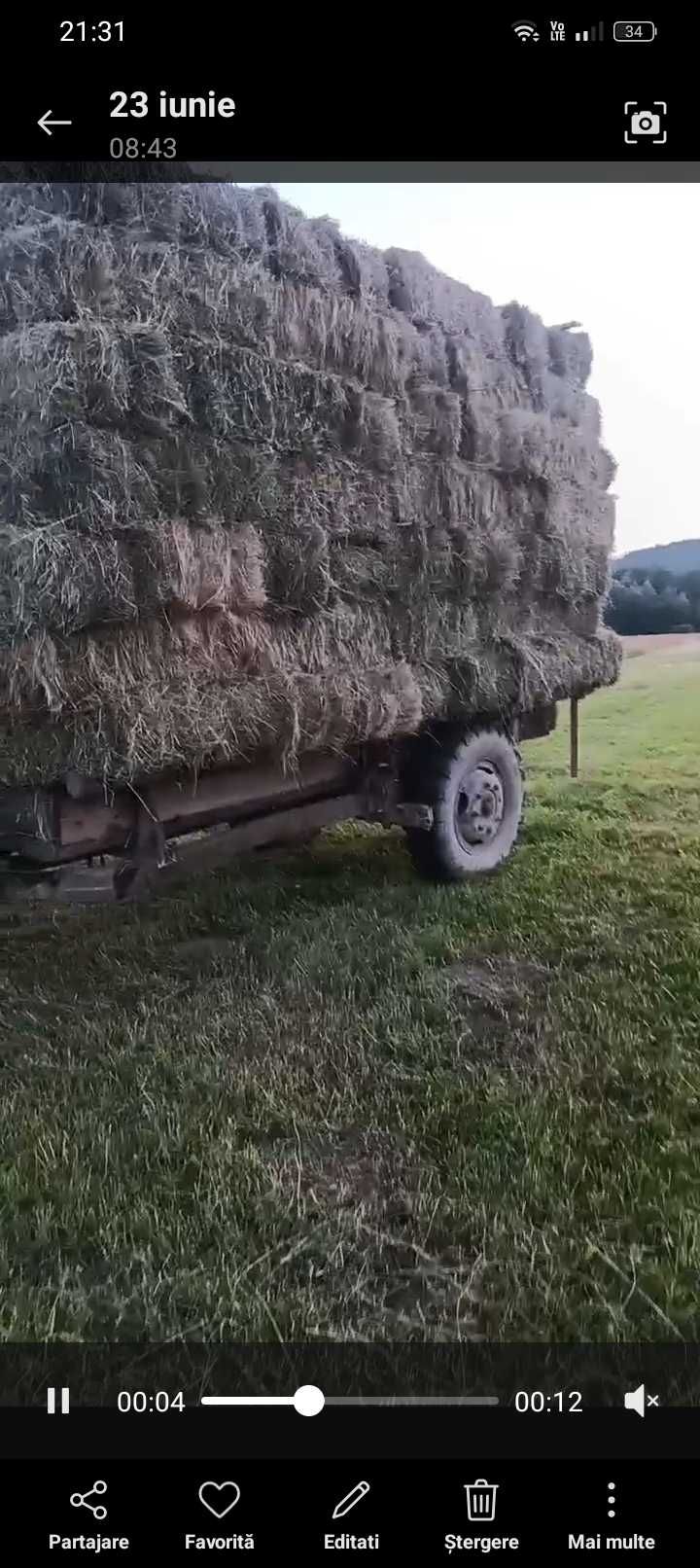De vânzare baloți de fân bun