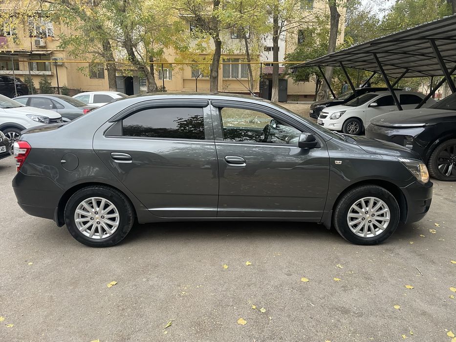 Cobalt 2020 4 pazitsa