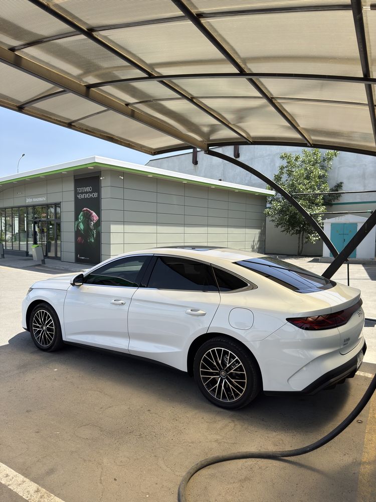Byd qin l sotiladi