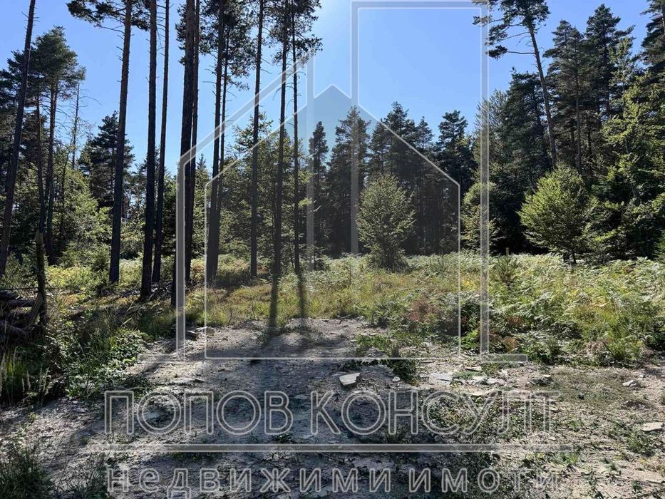 Продава се Парцел в с. Добралък, Област Пловдив - 700 кв.м за 38 €/кв.м - Снимка #2