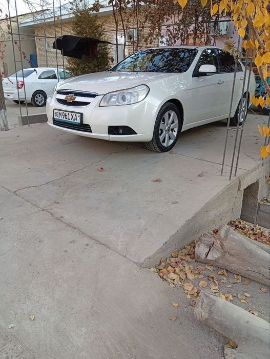 Epica rangi jemchuk, yili 2011