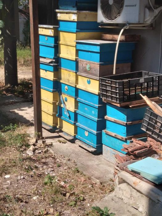 Продавам магазини и кошери втора ръка 15лв магазин