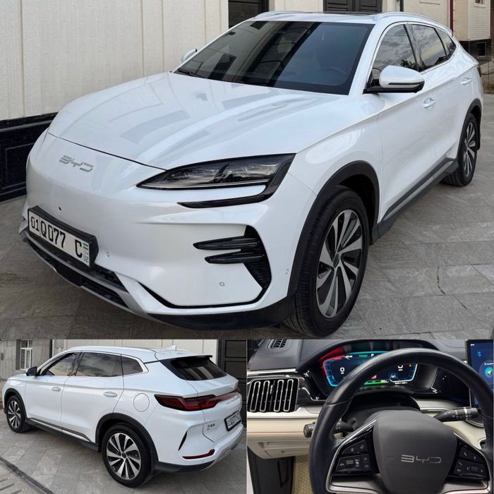 BYD Chempion EV 520км  66.000 пробег