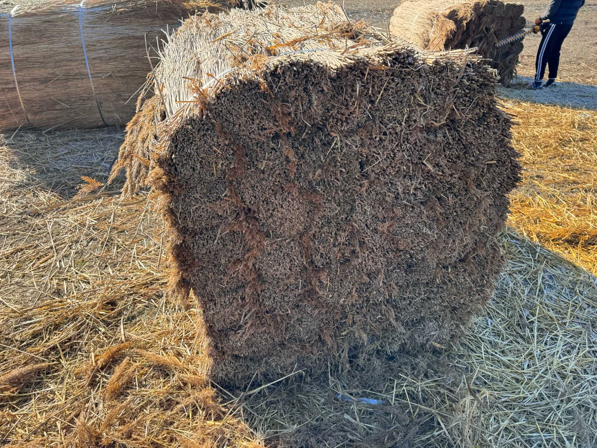 Snopi Stuf - REED BUNDLES, Acoperis Stuf, Umbrele stuf