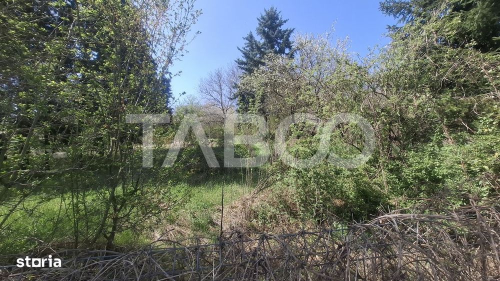 Teren intravilan de vanzare 2700 mp Slimnic Sibiu