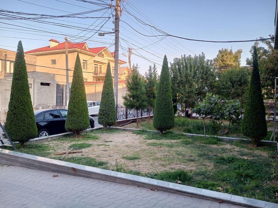 Archa kesish xizmati