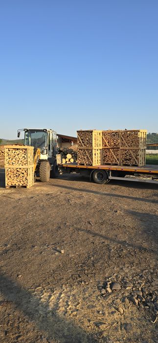 Lemn foc Fag paletizat 800 lei paletu