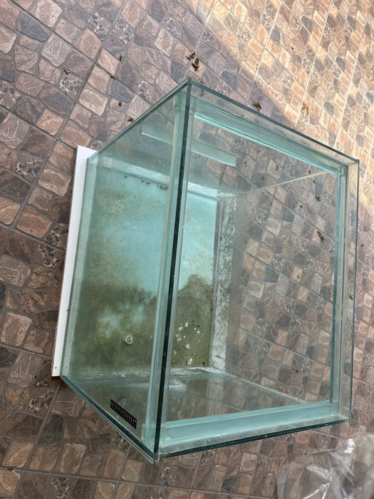 Vand acvariu pesti/ broaste testoase