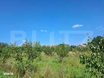 Teren intravilan 3416 mp Salistea Noua, Baciu, Cluj
