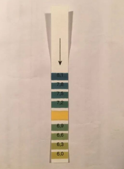 Tester PH pentru apa intre 6 - 8.1
