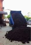 Pamant negru vegetal