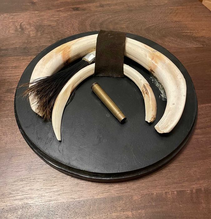 Trofeu vânătoare MISTREȚ Pădurea Neagră - Germania (diam. 30 cm.)