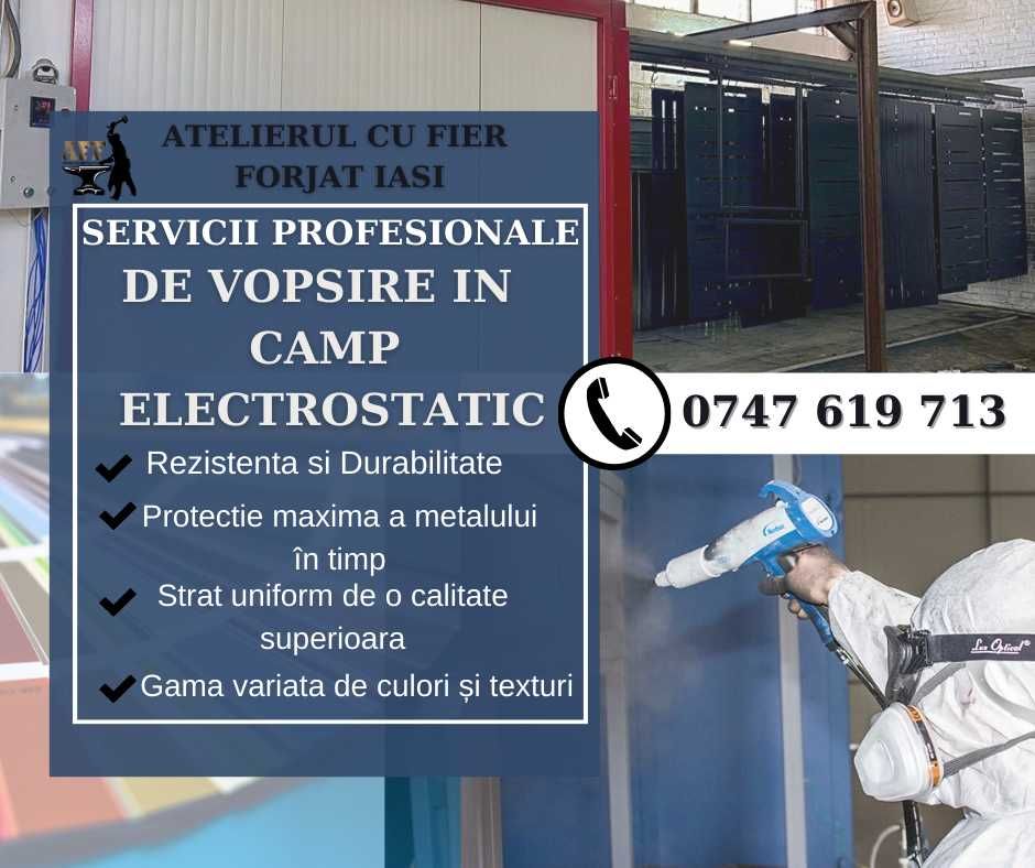 Porti, panouri de gard , balsutrade vopsite in camp electrostatic