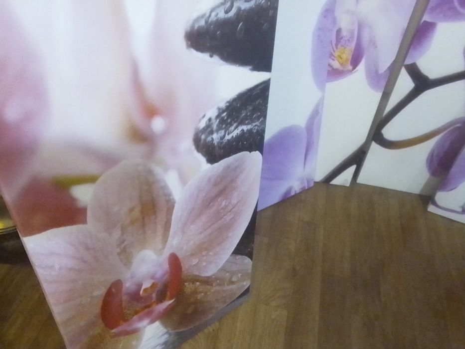 Роскошные картины . Комплект 3000. Цветы Почти даром