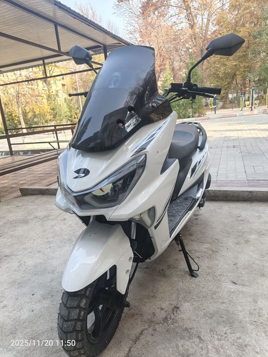 Tiger srochna sotiladi