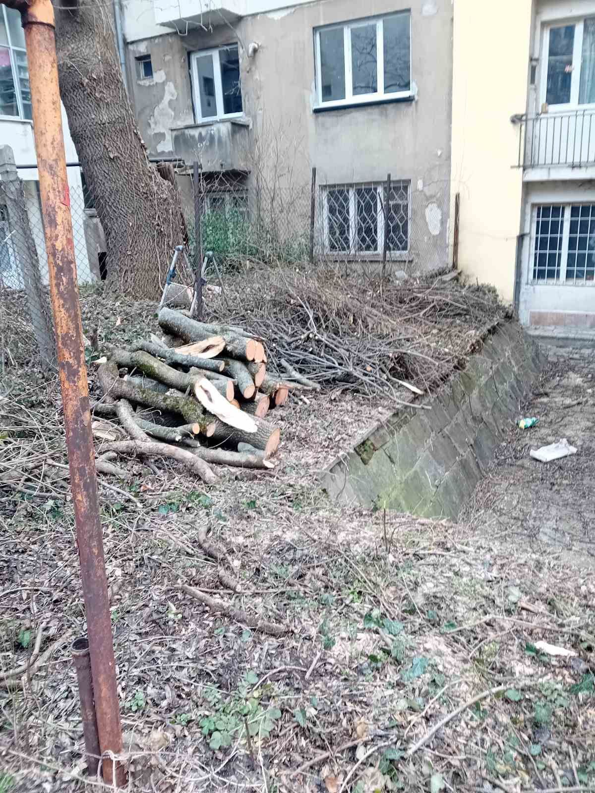 Почистване на парцели дворове Косене на трева рязане на опасни дървета