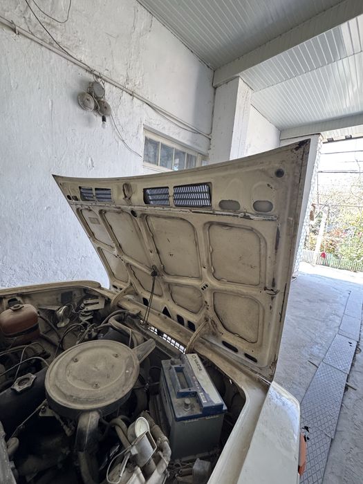 Juguli sotiladi narxi kelishiladi yili 1988 faqat bitta aybi dakument