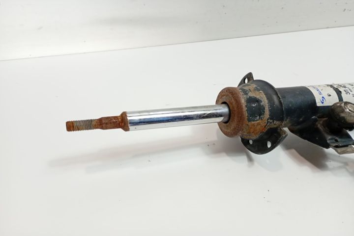 Amortizor telescop stanga fata 824903002483 BMW Seria 3 E90/E91/E92/E