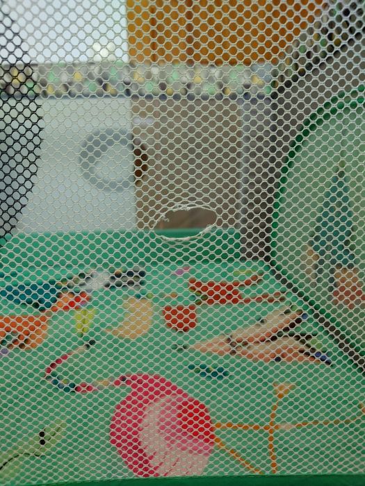 LIONELO MILLE Patut de calatorie si tarc de joaca 2 in 1 100x100 cm