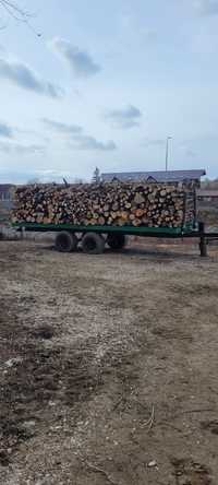 Trailer baloti forestier