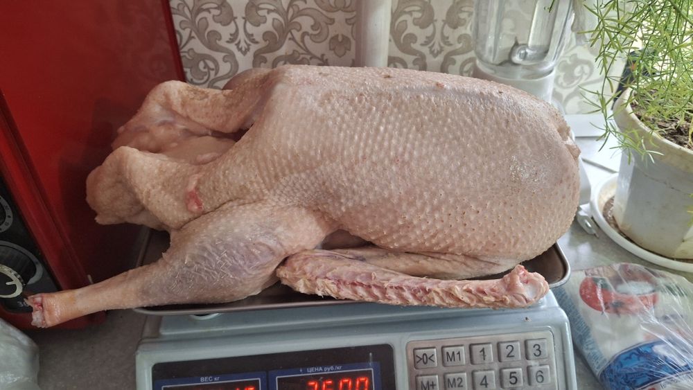 Продам тушки гусей.