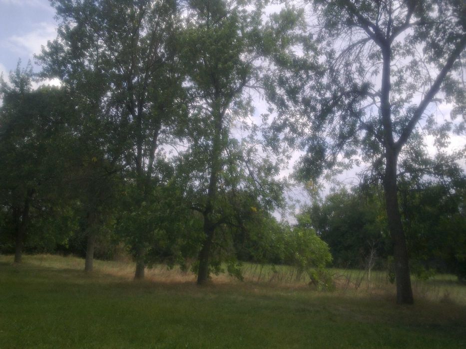 Продава се Парцел в Добрич, Добротица - Варненска - 11000 кв.м за 6 €/кв.м - Снимка #3