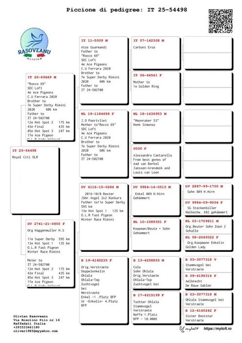 Vand Ceas Benzing G2 complet + zburati si de matca cu pedigree