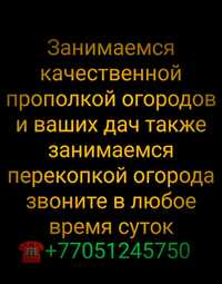 Занимаемся качественной прополкой огородов и ваших дач