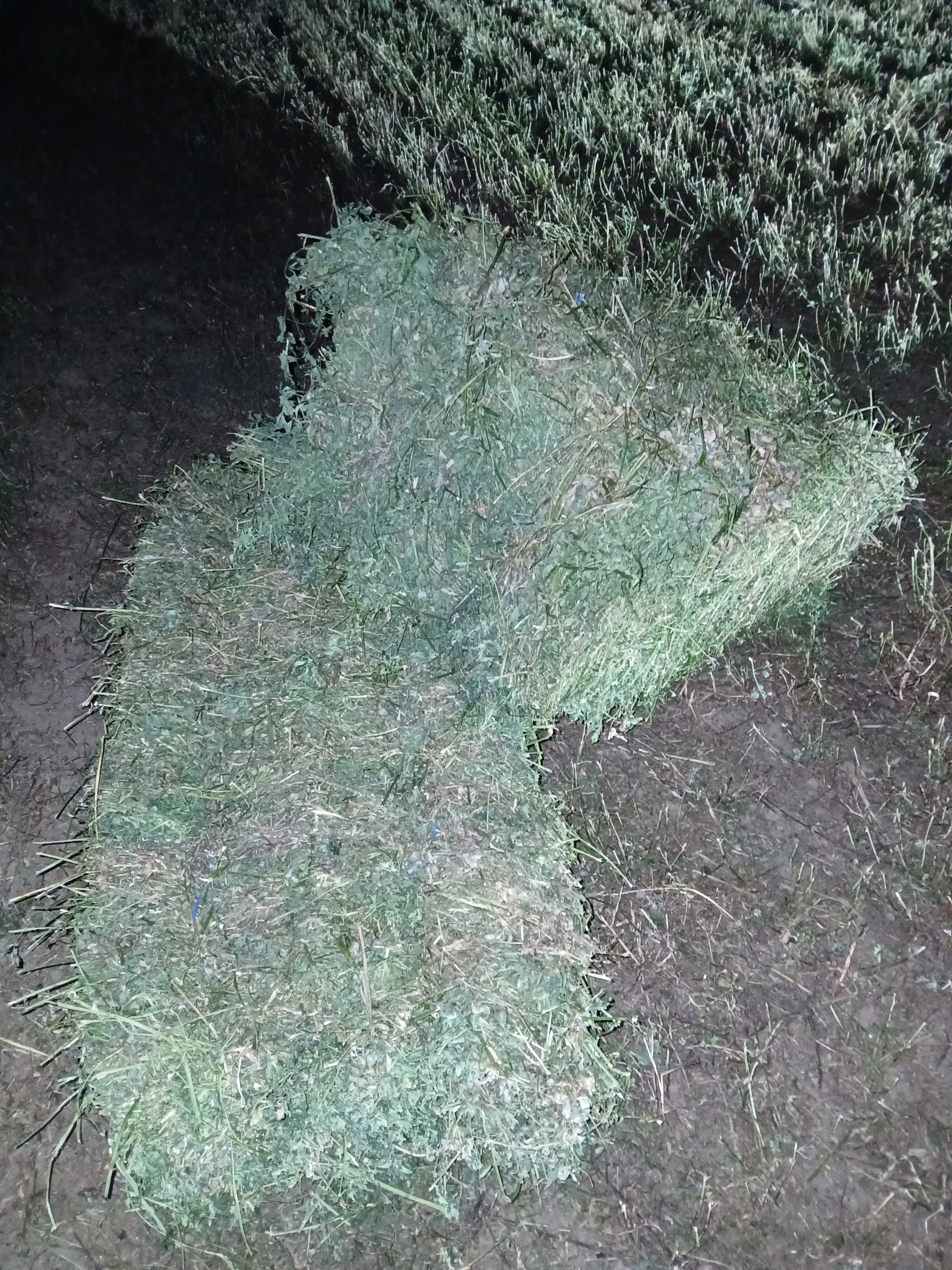 Vnd baloți lucernă coasa 2