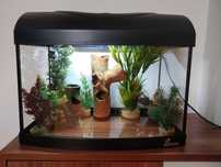 Аквариум Diversa Startup 40 Oval LED