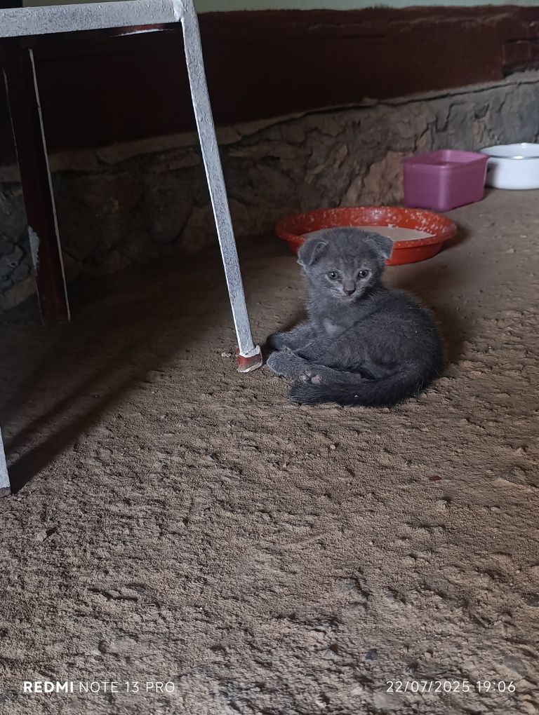 Manzil: Buxoro viloyati Kogon shahri