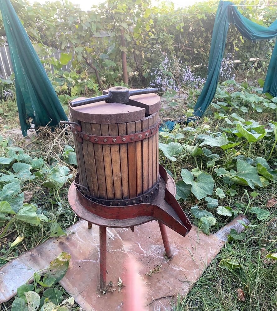 Teasc de struguri