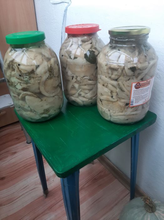 Грузди и валуи солёные 3000тенге за 1литр.