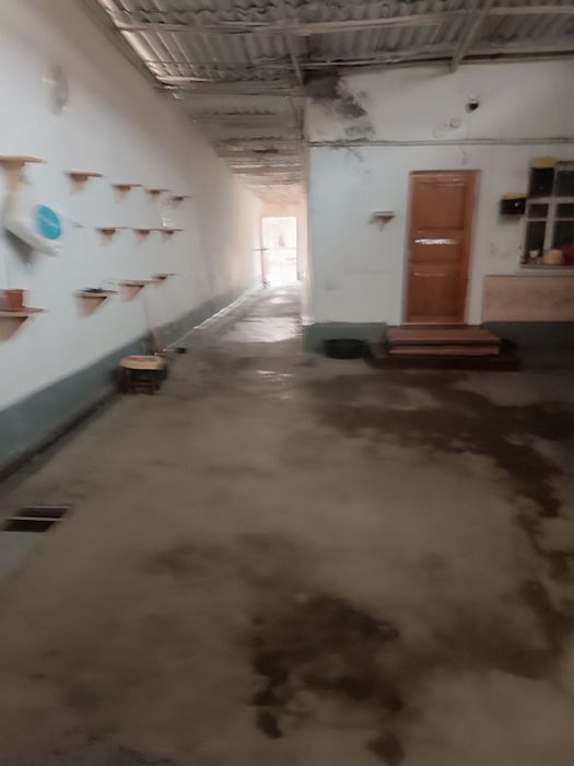 Здаю  часть своего участка, из двух комнат, остальное информация по те