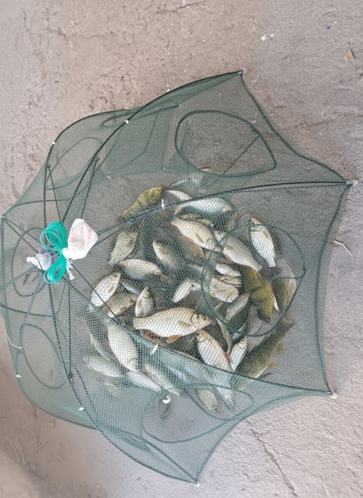 Продам Рыболовную зонтик сетку