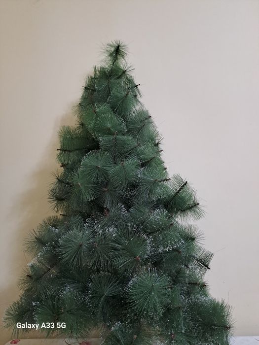 Ёлка арча сотилад